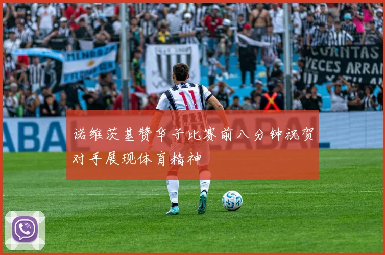 诺维茨基赞华子比赛前八分钟祝贺对手展现体育精神